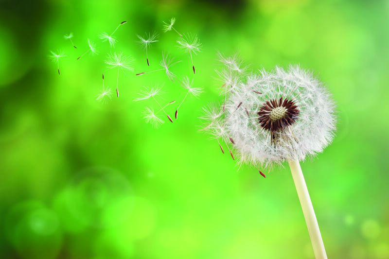 Kleinluftanlagen von geschlossenen Räumen